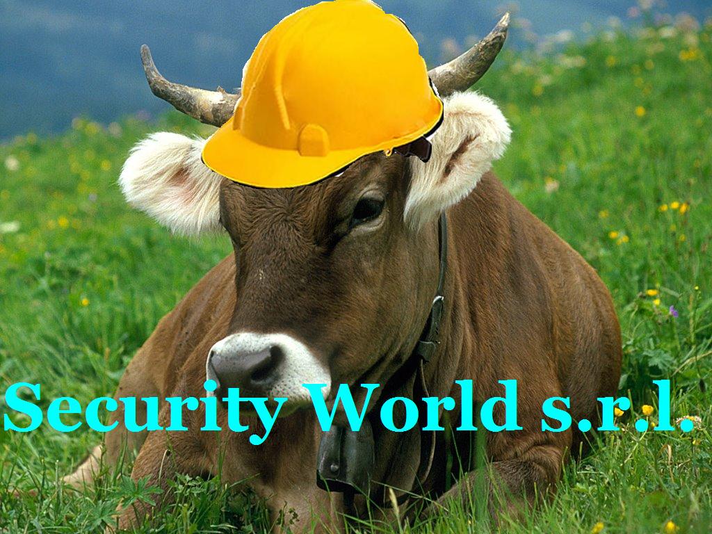 Security World Srl.