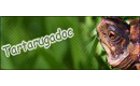 Tartarugadoc.it