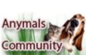 Anymals.it