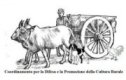 Coordinamento Cultura Rurale